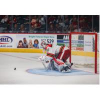 Grand Rapids Griffins' Sebastian Cossa in action