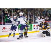 Maine Mariners' Owen Pederson on the ice