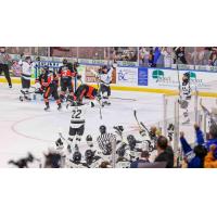 Wichita Thunder react after a goal against the  Kansas City Mavericks