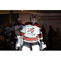 Tucson Roadrunners goaltender Jaxson Stauber