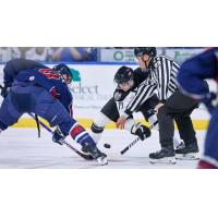 Wichita Thunder face off with the Tulsa Oilers