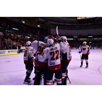 South Carolina Stingrays congratulate goatender Seth Eisele on a shutout win