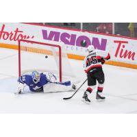 Belleville Senators' Matthew Highmore in action