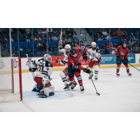 Springfield Thunderbiards forward Drew Callin shoots against the Hartford Wolf Pack