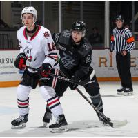 Peterborough Petes left wing Brennan Faulkner (right) vs. the Niagara IceDogs