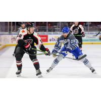 Wichita Thunder vs. the Rapid City Rush