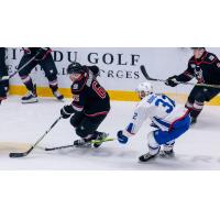 Adirondack Thunder's Shaw Boomhower and Trois-Rivieres Lions' Morgan Adams-Moisan in action