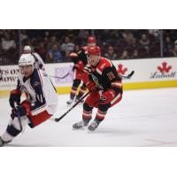 Grand Rapids Griffins left wing Joe Snively