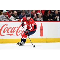 Defenseman Lucas Johansen with the Washington Capitals