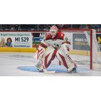 Grand Rapids Griffins goaltender Ville Husso