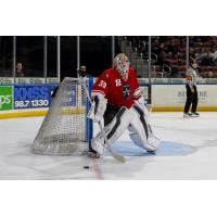 Allen Americans goaltender Dylan Wells