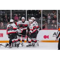 Belleville Senators celebrate win