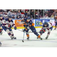 Flint Firebirds left wing Matthew Wang