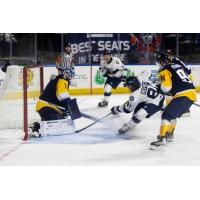 Worcester Railers forward Anthony Repaci vs. the Norfolk Admirals