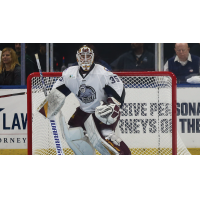 Jacksonville Icemen goaltender Justen Close