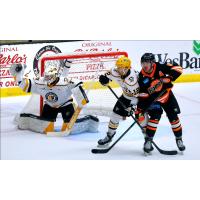 Wheeling Nailers goaltender Sergei Murashov gloves a save