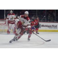 Grand Rapids Griffins left wing Elmer Söderblom