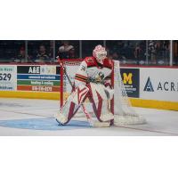 Grand Rapids Griffins goaltender Ville Husso