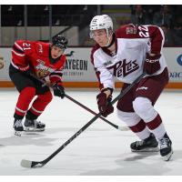 Peterborough Petes right wing Nico Addy