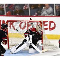 Allen Americans goaltender Dylan Wells