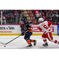 Flint Firebirds' Matthew Mania and Soo Greyhound's Tate Vader in action