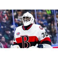 Belleville Senators' Malcolm Subban