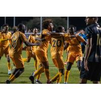 Rhode Island FC react after a goal