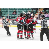 Kelowna Rockets gather after a goal