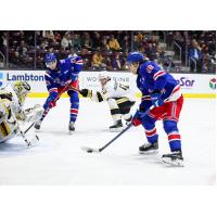 Kitchener Rangers centre Luca Romano looks for a shot against the Sarnia Sting