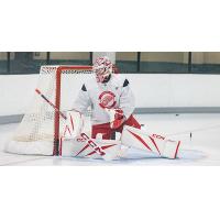 Grand Rapids Griffins goaltender Gage Alexander