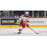 Grand Rapids Griffins defenseman William Lagesson