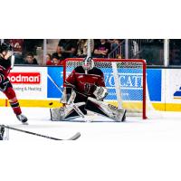 Goaltender Rhett Stoesser with the Red Deer Rebels