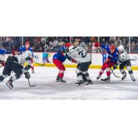 Allen Americans battle the Utah Grizzlies