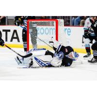 Wenatchee Wild's Daniel Hauser in action