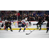 South Carolina Stingrays forward Austin Magera