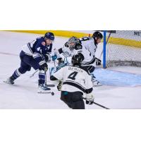 Wichita Thunder goaltender Aaron Dell vs. the Worcester Railers