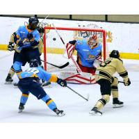 Wheeling Nailers defenseman Mats Lindgren takes a shot againt the Toledo Walleye