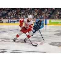 Grand Rapids Griffins' Elmer Söderblom and Milwaukee Admirals' Kieffer Bellows in action