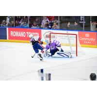 Rochester Americans' Viktor Neuchev versus Syracuse Crunch's Matt Tomkins