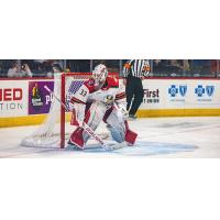 Grand Rapids Griffins goaltender Sebastian Cossa