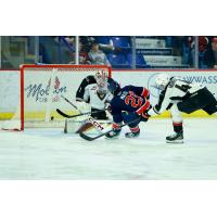 Vancouver Giants goaltender Matthew Hutchison tries to stop the Regina Pats' Julien Maze