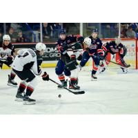 Ty Halaburda of the Vancouver Giants handles the puck vs. the Regina Pats