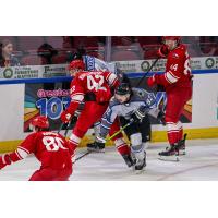 Allen Americans fight for the puck against the Wichita Thunder