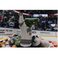 Florida Everblades on Teddy Bear Toss night