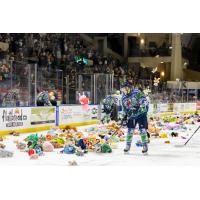 Maine Mariners Teddy Bear Toss