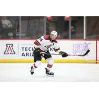 Tucson Roadrunners defenseman Kevin Connauton