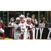 Albany FireWolves celebrate a goal