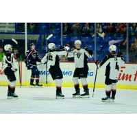 Vancouver Giants exchange congratulations after a goal against the Tri-City Americans