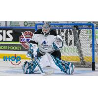 Wichita Thunder goaltender Aaron Dell