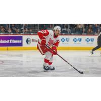 Grand Rapids Griffins defenseman William Lagesson